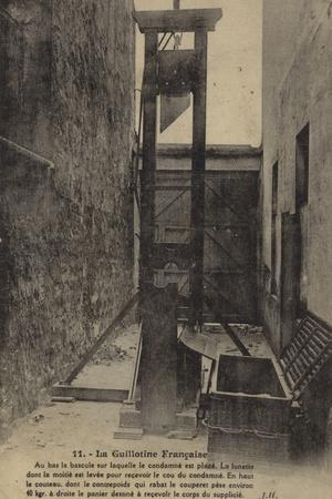 Photographic Print, , small