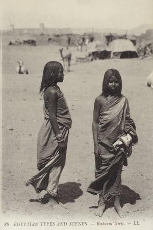 Photographic Print, , small