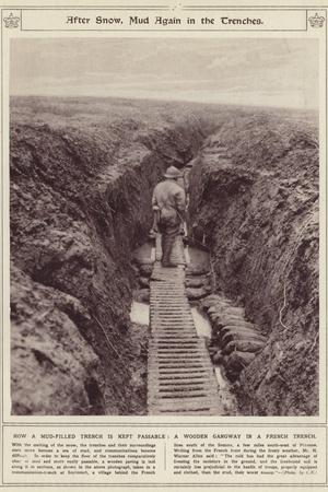 Photographic Print, , small