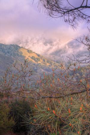 Photographic Print, , small