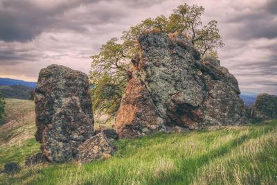 Photographic Print, , small