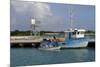 Fishing Boat in Harbour in Barbuda-Robert-Mounted Photographic Print