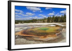 Beauty Pool-Eleanor Scriven-Framed Photographic Print