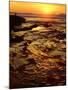 USA, California, San Diego, La Jolla Tide Pools on the Pacific Ocean-Jaynes Gallery-Mounted Photographic Print