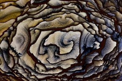 Premium Photographic Print, , small