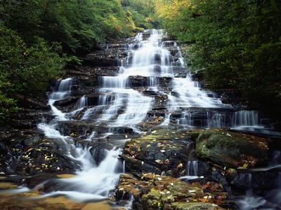 Premium Photographic Print, , small