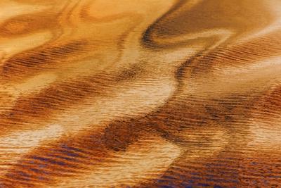 Premium Photographic Print, , small