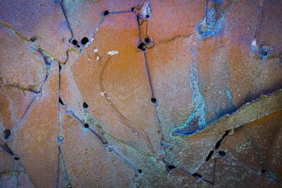 Premium Photographic Print, , small