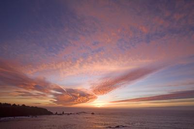 Premium Photographic Print, , small