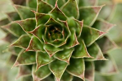 Premium Photographic Print, , small