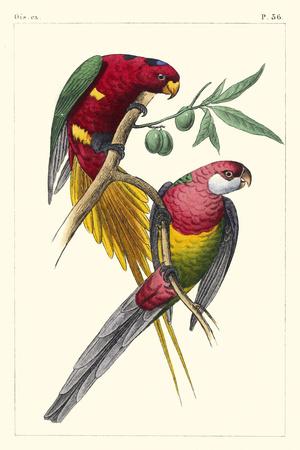 Premium Giclee Print, , small