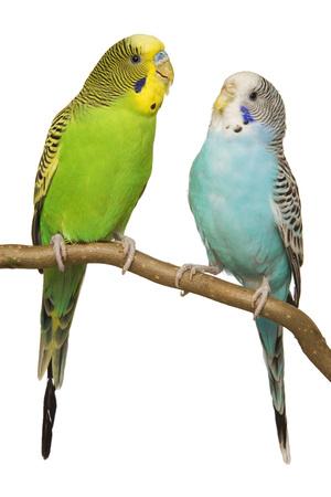 Premium Photographic Print, , small