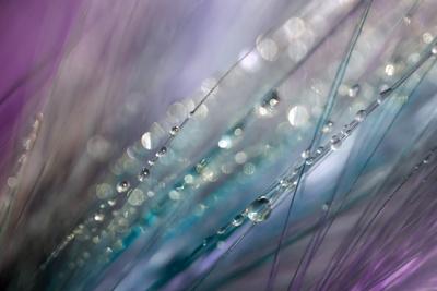 Photographic Print, , small