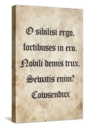 Stretched Canvas Print, , small