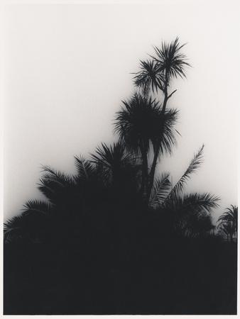 Photographic Print, , small