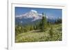 USA, Washington, Mount Rainier NP. Avalanche Lilies and Mount Rainier-Jaynes Gallery-Framed Photographic Print