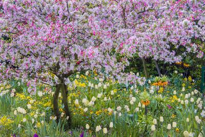 Premium Photographic Print, , small