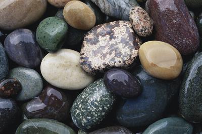 Premium Photographic Print, , small