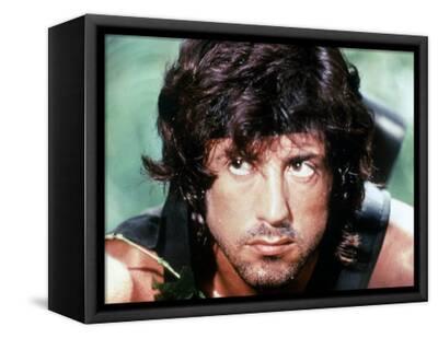 Stretched Canvas Print, , small