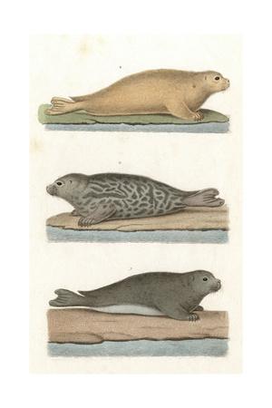 Giclee Print, , small