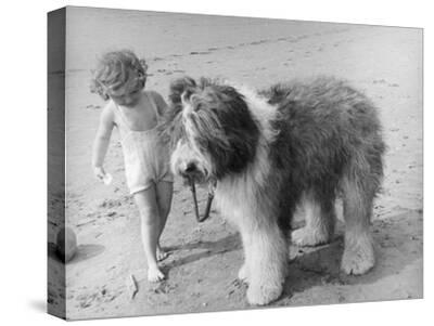 Stretched Canvas Print, , small