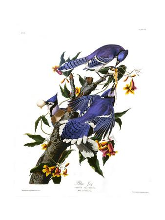 Giclee Print, , small