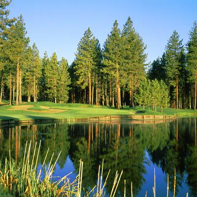 Photographic Print, , small