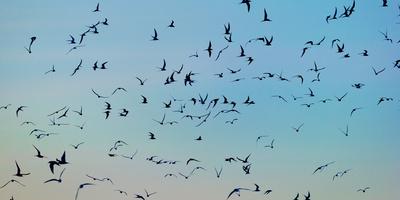 Photographic Print, , small