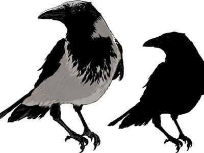 Art Print, , small