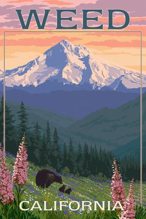 Premium Giclee Print, , small