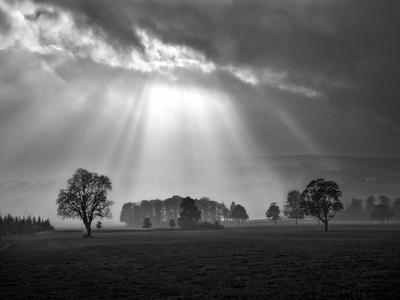 Premium Photographic Print, , small