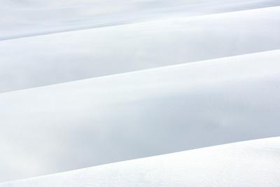 Photographic Print, , small