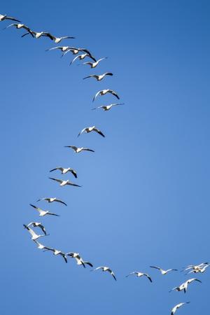 Premium Photographic Print, , small