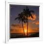 Palm Trees and Setting Sun (Square), Kauai Hawaii-Vincent James-Framed Photographic Print