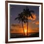 Palm Trees and Setting Sun (Square), Kauai Hawaii-Vincent James-Framed Photographic Print