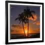 Palm Trees and Setting Sun (Square), Kauai Hawaii-Vincent James-Framed Photographic Print