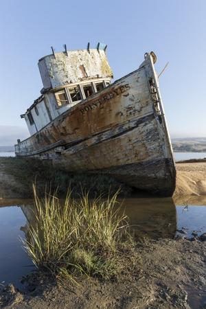 Premium Photographic Print, , small