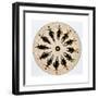 Fantascope Disc, 1833-Thomas Mann Baynes-Framed Giclee Print