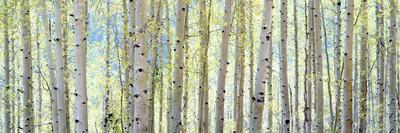 Premium Photographic Print, , small