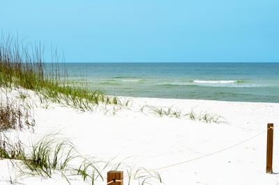 Premium Photographic Print, , small