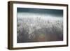 Frosty Sage Abstract II, Grand Teton, Wyoming-null-Framed Photographic Print