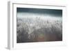 Frosty Sage Abstract II, Grand Teton, Wyoming-null-Framed Photographic Print