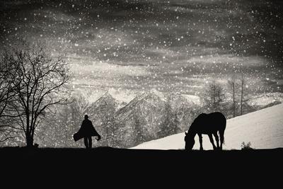 Photographic Print, , small