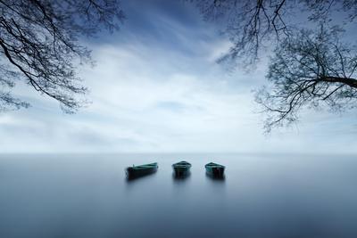 Photographic Print, , small