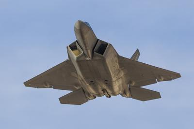 Photographic Print, , small