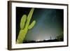 Stary Sky with Saguaro Cactus over Organ Pipe Cactus Nm, Arizona-Richard Wright-Framed Photographic Print