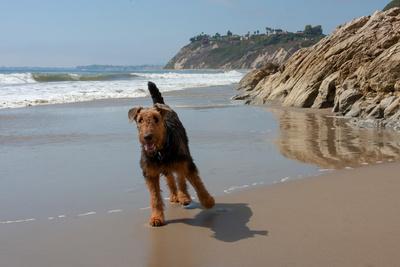 Photographic Print, , small