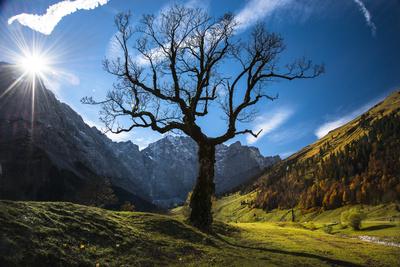 Premium Photographic Print, , small
