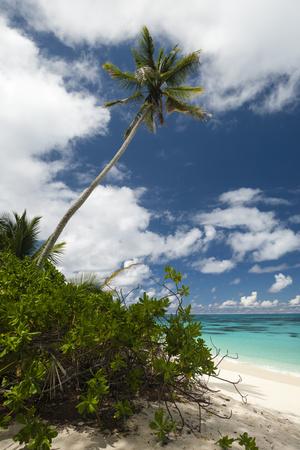 Premium Photographic Print, , small