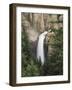 Wyoming, Yellowstone National Park, Tower Falls on Tower Creek-Christopher Talbot Frank-Framed Photographic Print